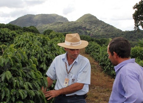 Capacitación a caficultores