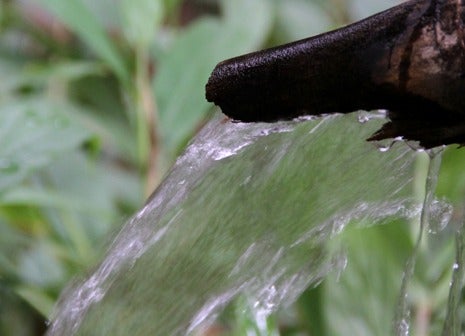 Sobrevivir con menos agua