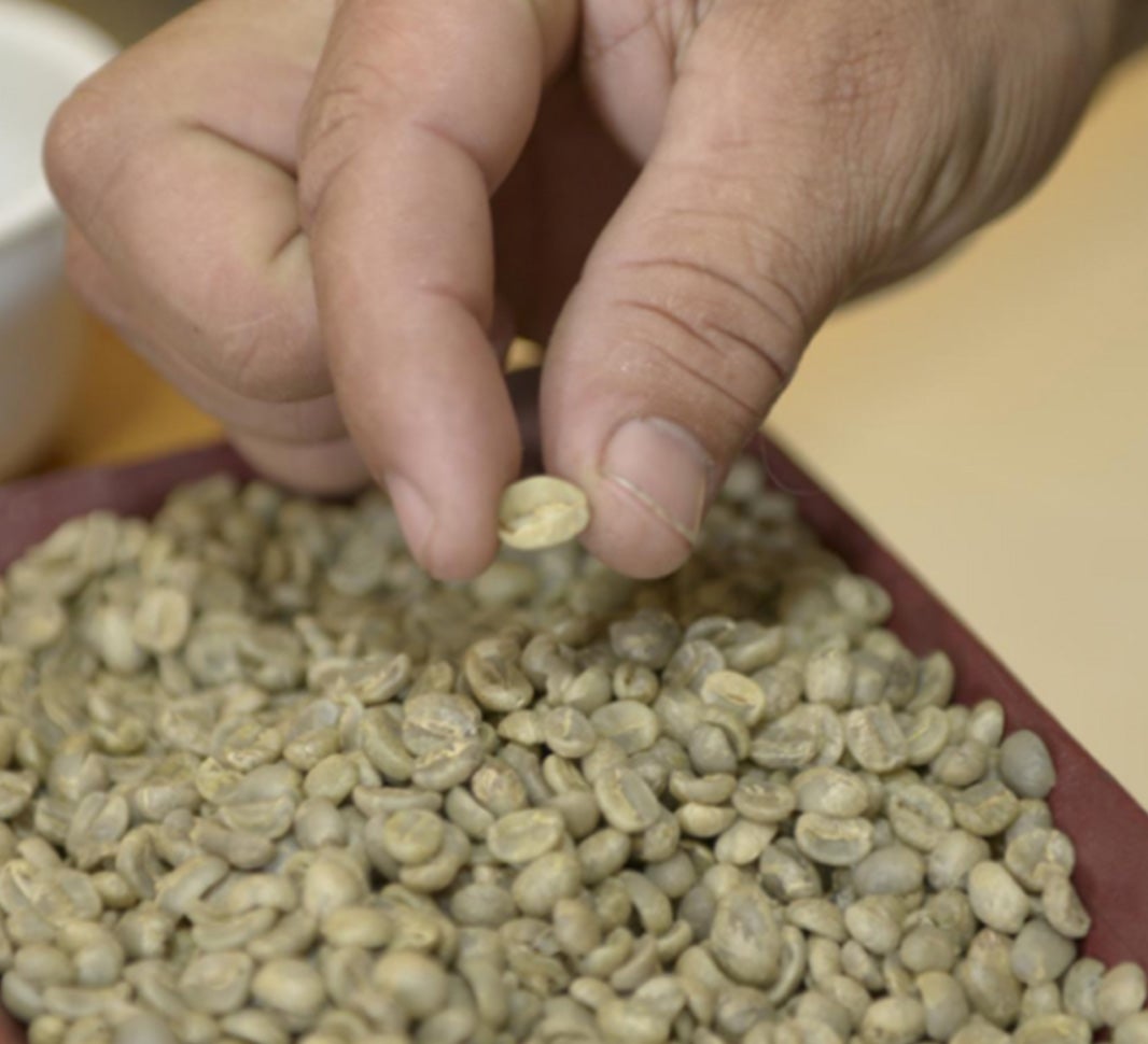 quality coffee roasts