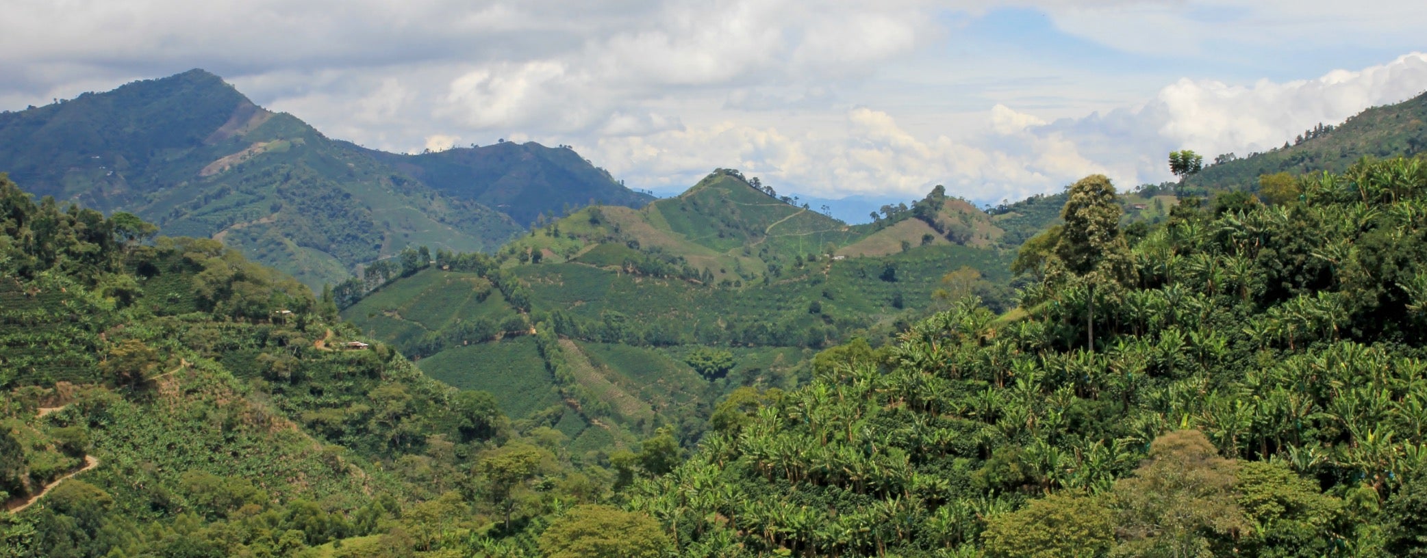 NESCAFÉ®® Selecteur de pays