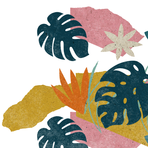 Pflanzen illustration