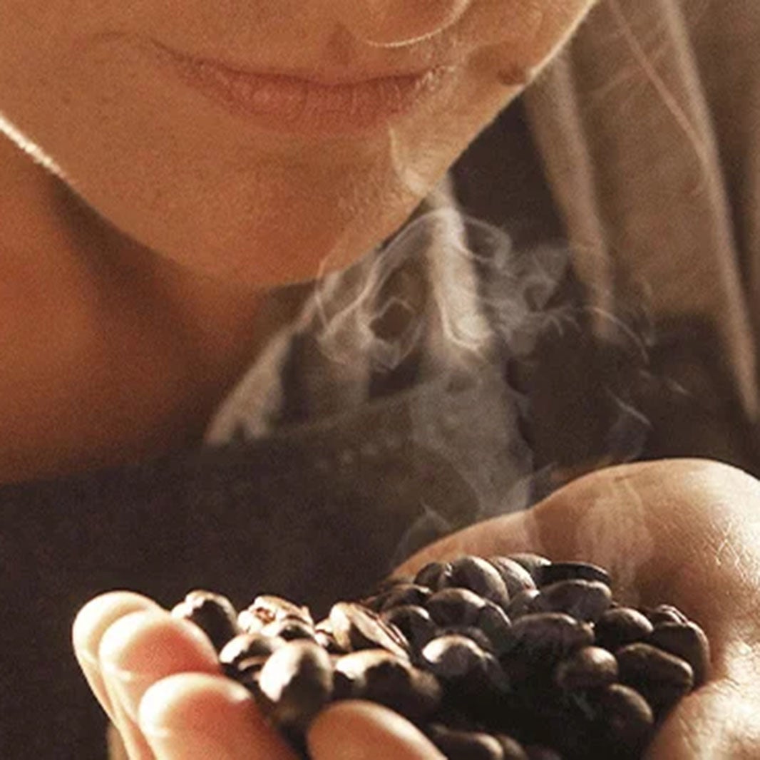 Grains de café issus de l'agriculture durable