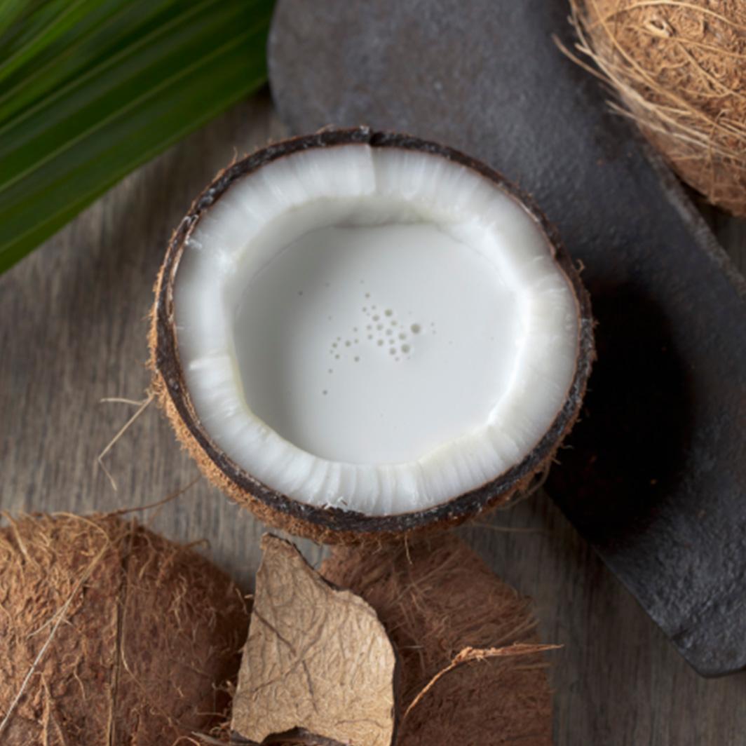 Probiere diese 6 Alternativen zu Kuhmilch für deinen Kaffee