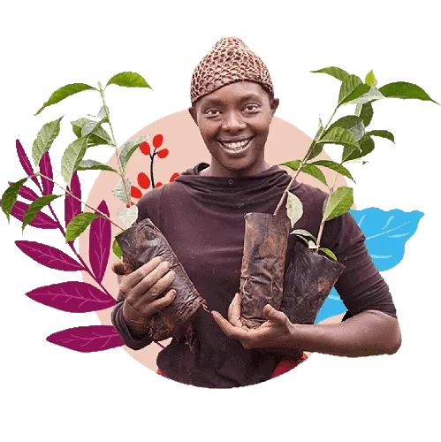 nescafé farmers origins geschmack
