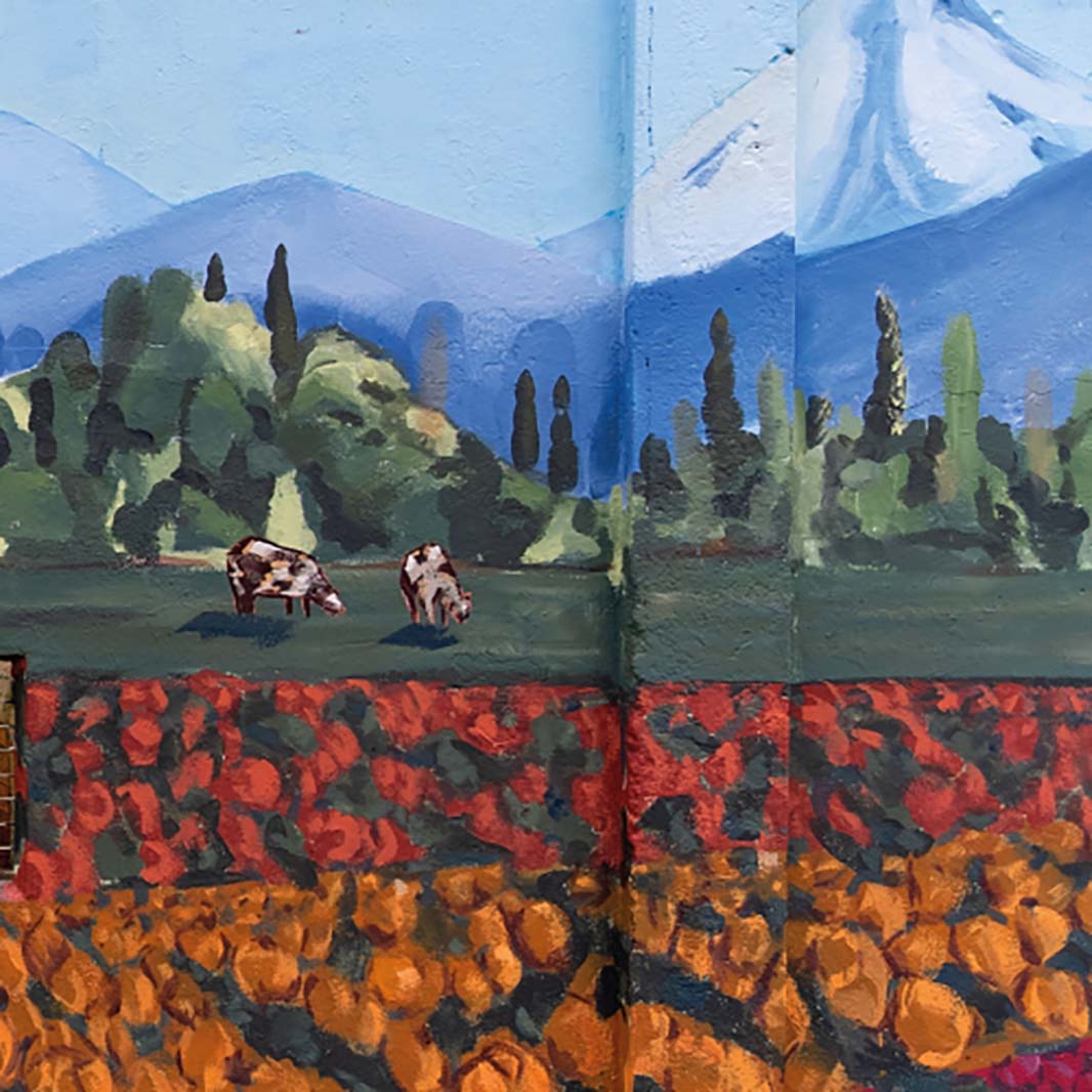 Diagonal Los Carrera 2588