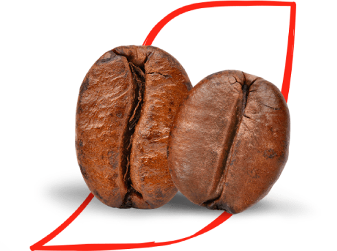 Granos Arábica y Robusta