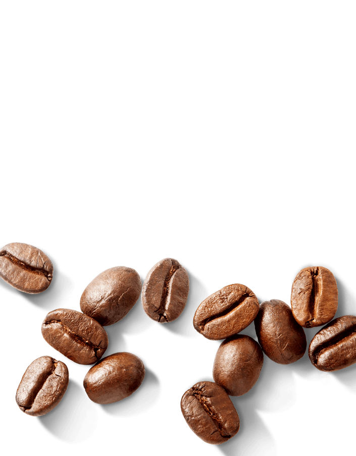 Granos de cafe Nescafe Tradicion