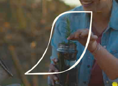 En Nescafé, sólo usamos 100% energía 100% limpia