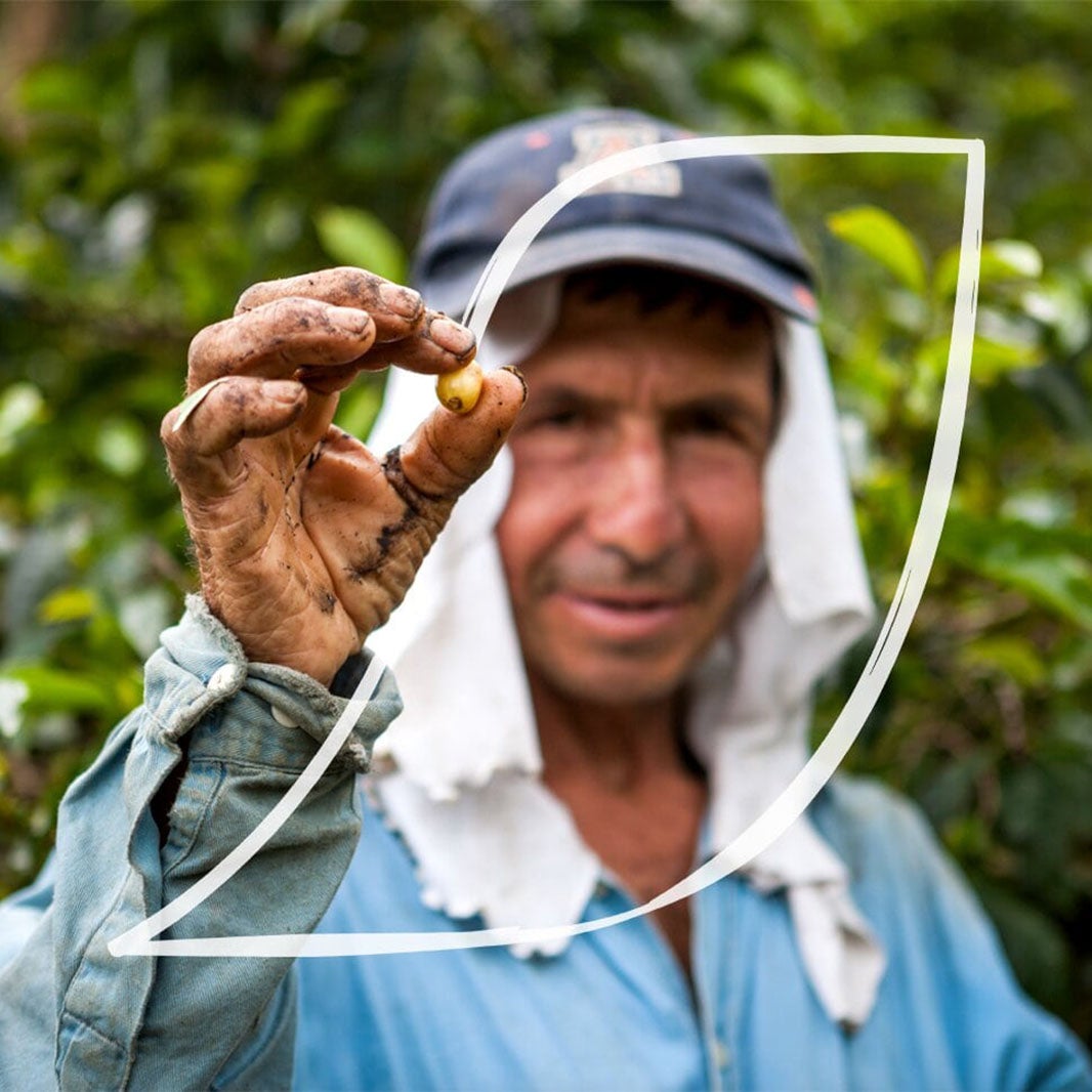 Granjero mostrando un grano de café con su mano.