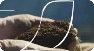 Manos de café que sostienen compost realizado con borra de café