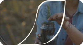 Manos que sostienen un frasco de Nescafé de vidrio reutilizado como macetero