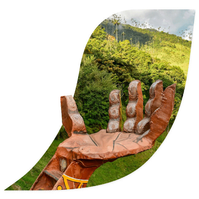 Fotografía del Valle de Cocora en Colombia