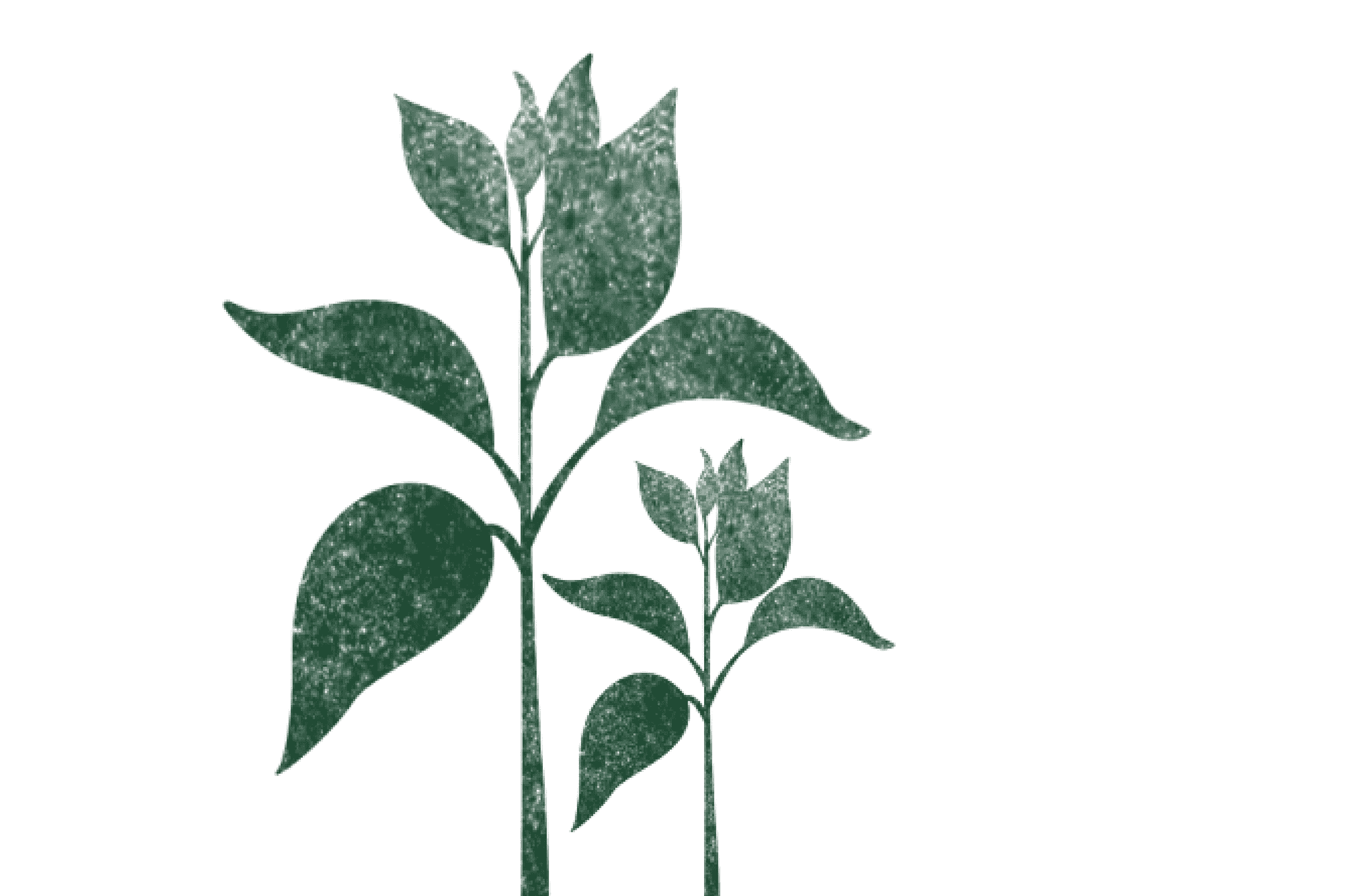 cita sobre biodiversidad