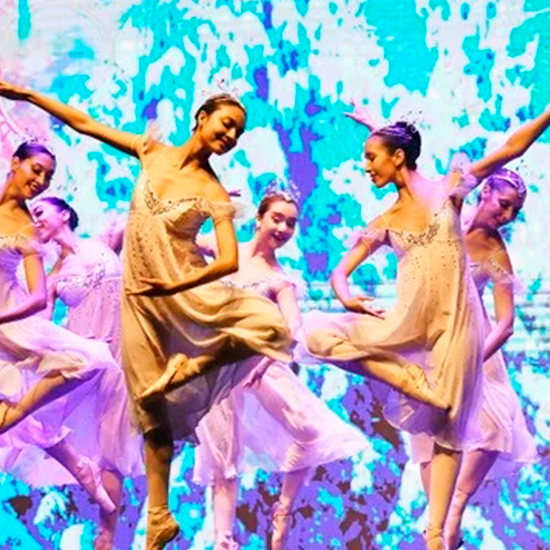 actividades comunitarias