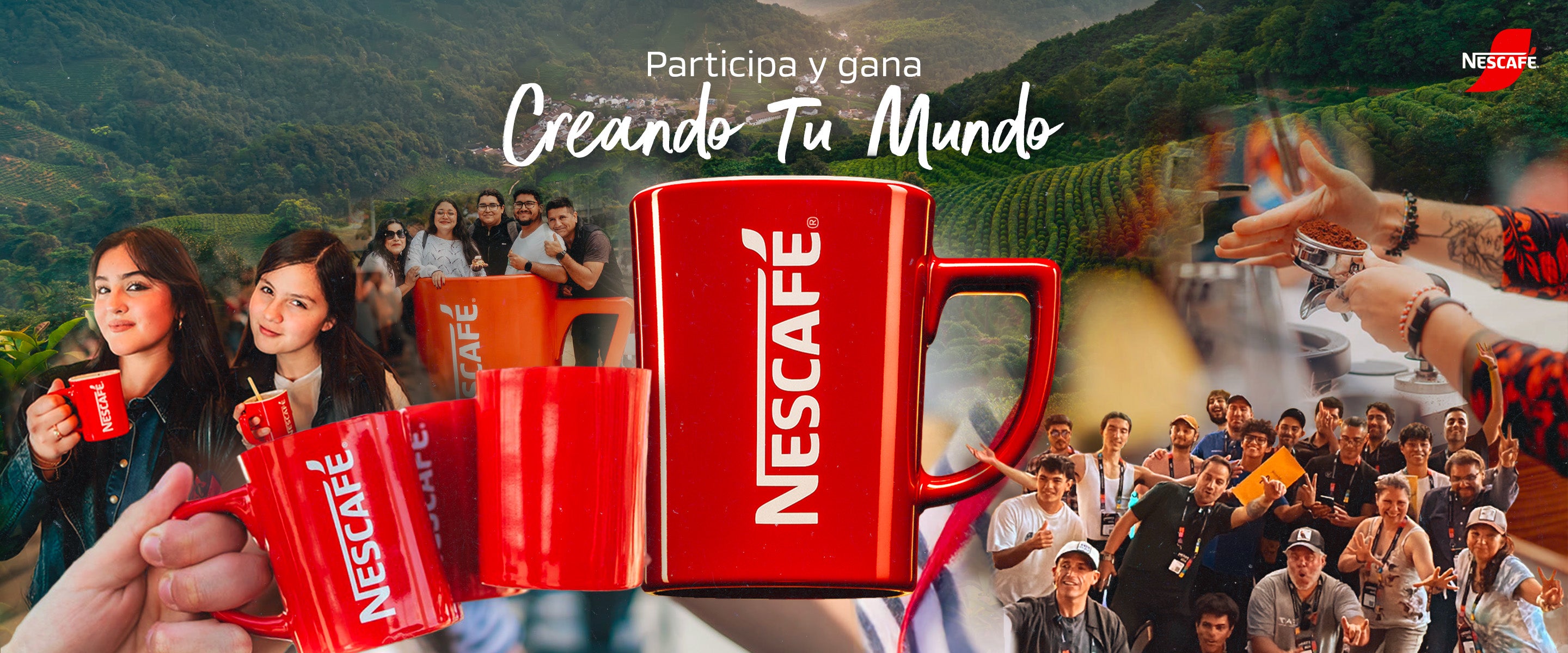 Concurso de Fin de Año