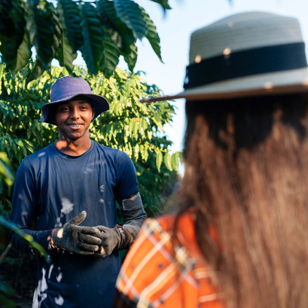 Agricultores en un campo de café