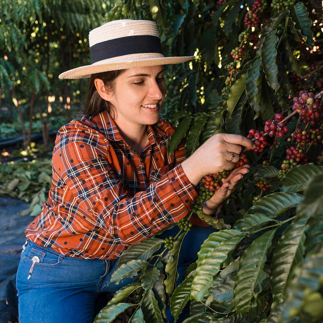 Mujer agricultora cultivando café
