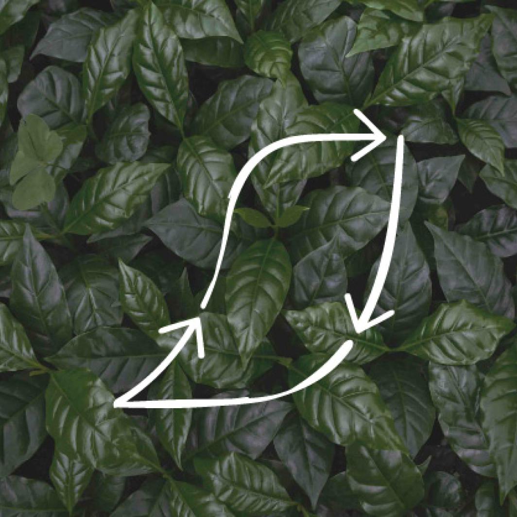 Consejos de sustentabilidad