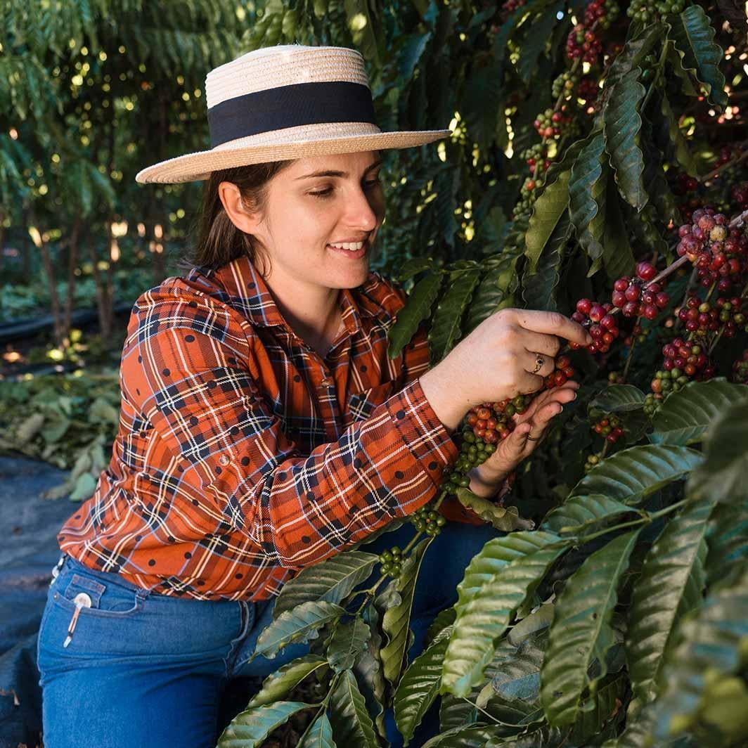 Mujeres caficultoras