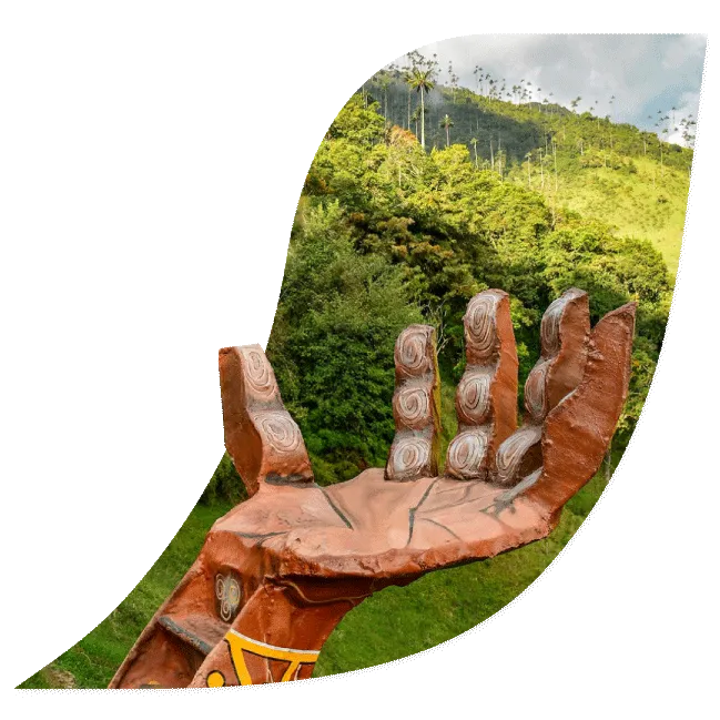 Fotografía del Valle de Cocora en Colombia