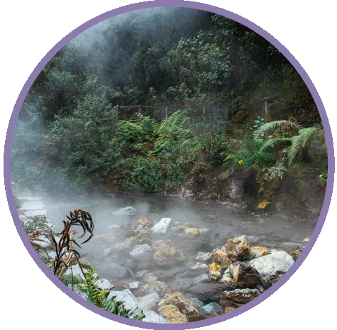 Termas