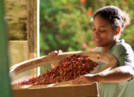 África es el país donde nació el café