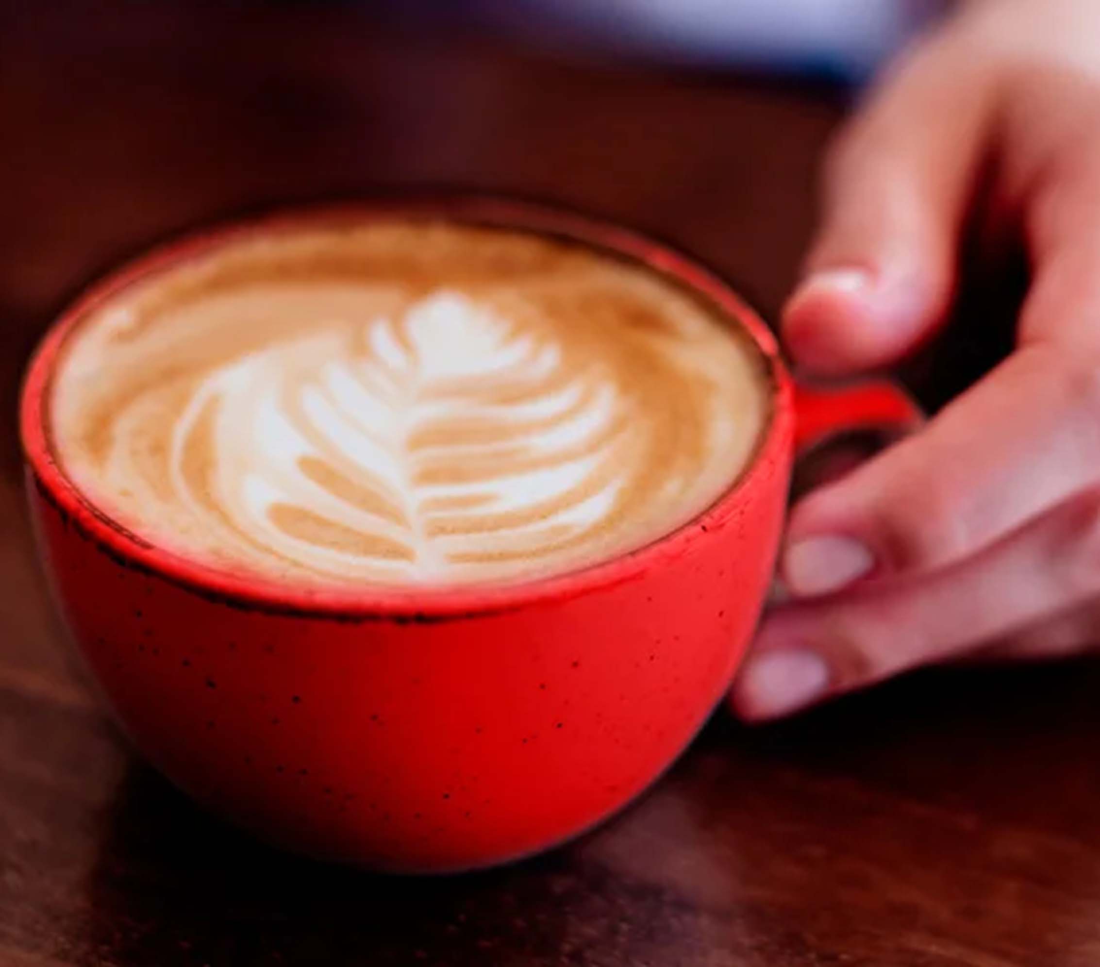 Aprende las diferencias entre un café capuchino y un Latte