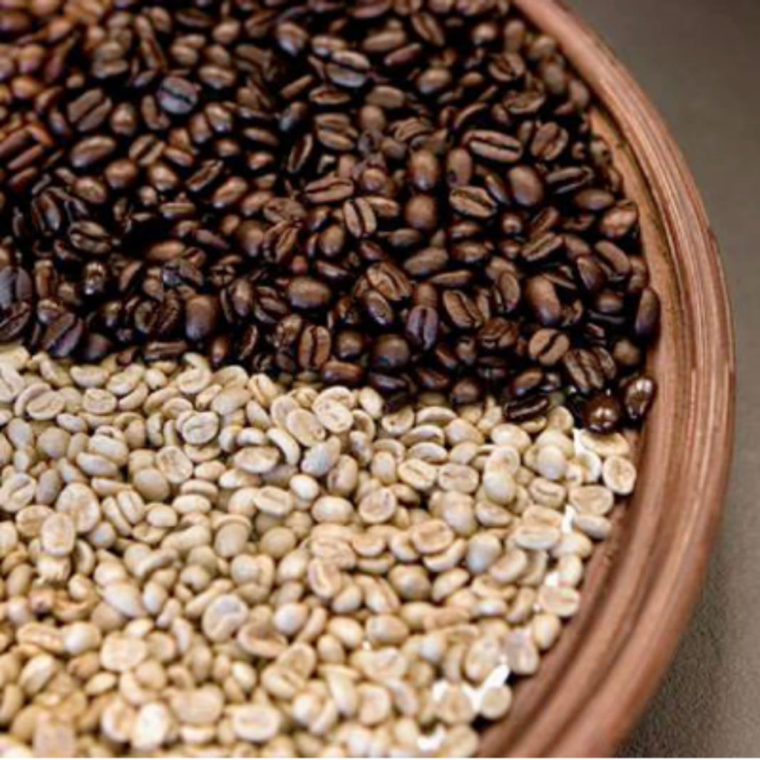 Grano seco y tostado de café