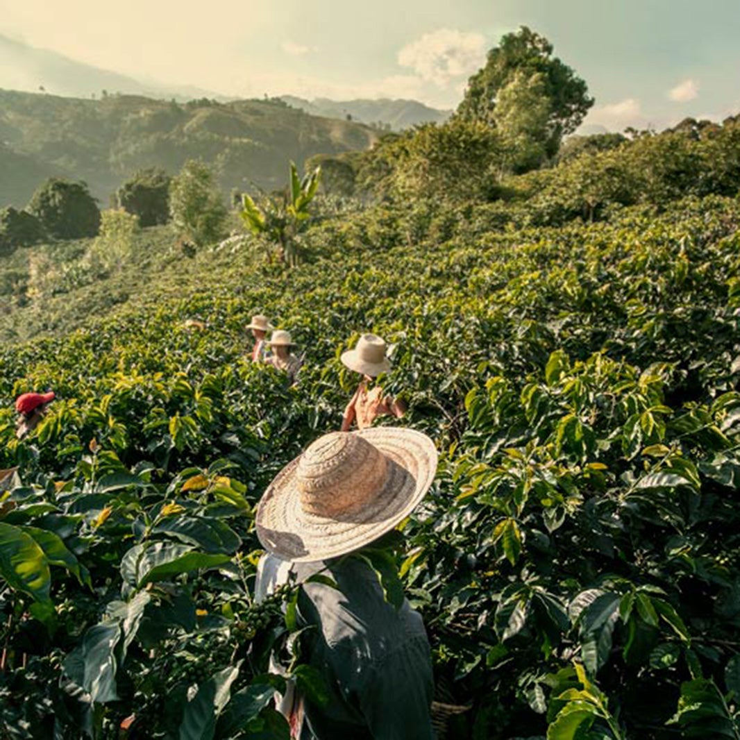 La historia de NESCAFÉ