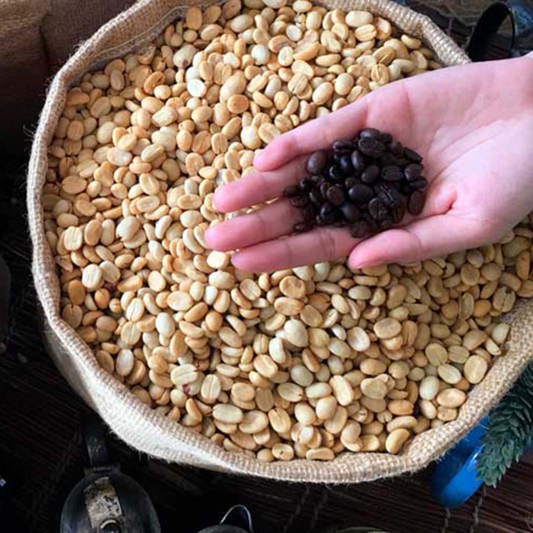 Los-cultivos-de-café-de-Colombia