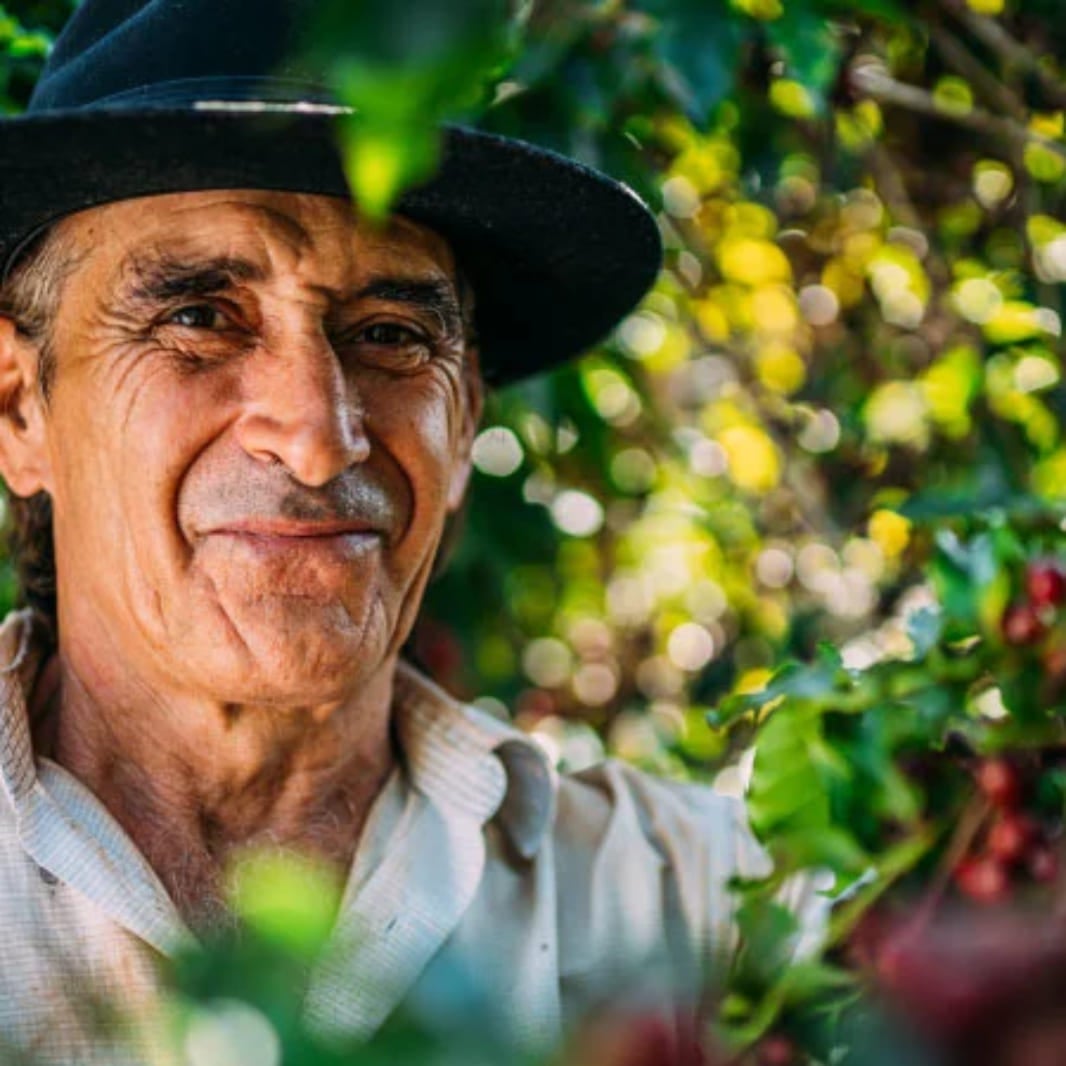 Hombre sonriendo entre cafetales.