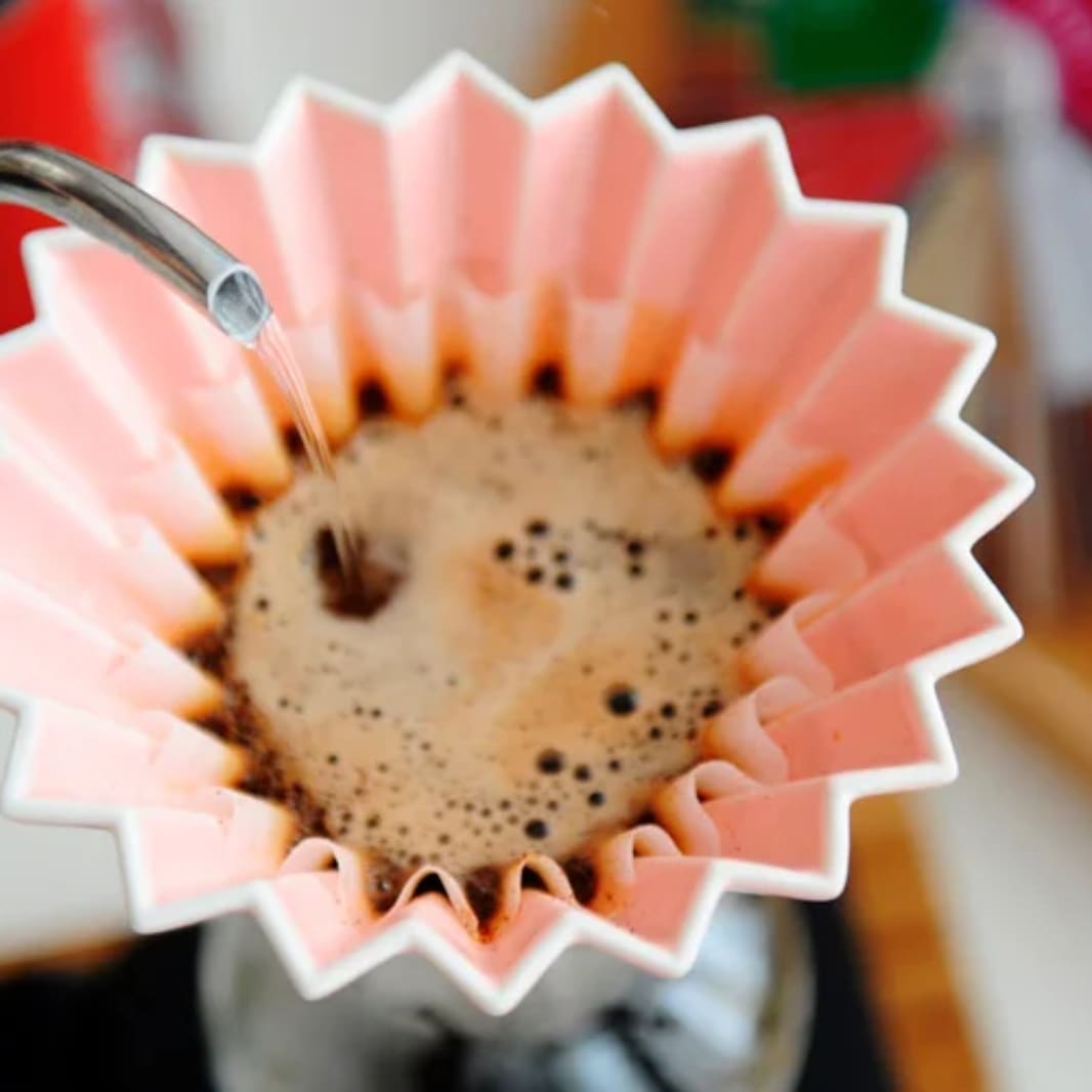 Sorpréndete con la rueda de sabores 