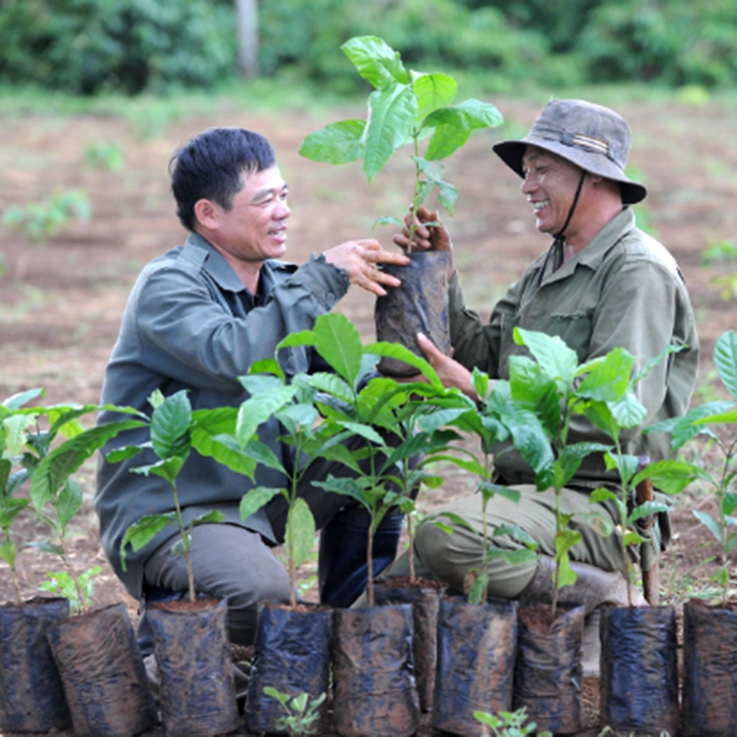 Transparencia y respeto