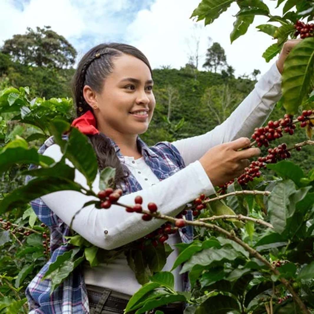 El café de los colombianos
