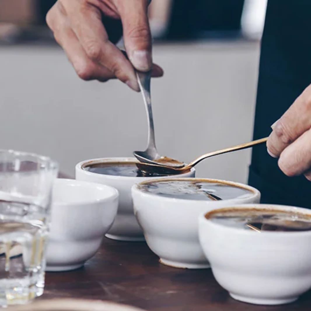 Una cata de café para las fechas especiales 