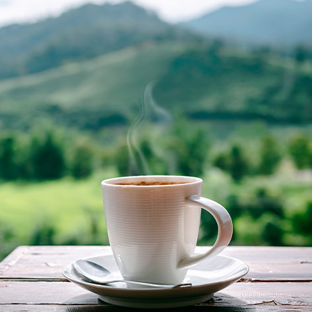 Un carajillo con el fondo de una montaña