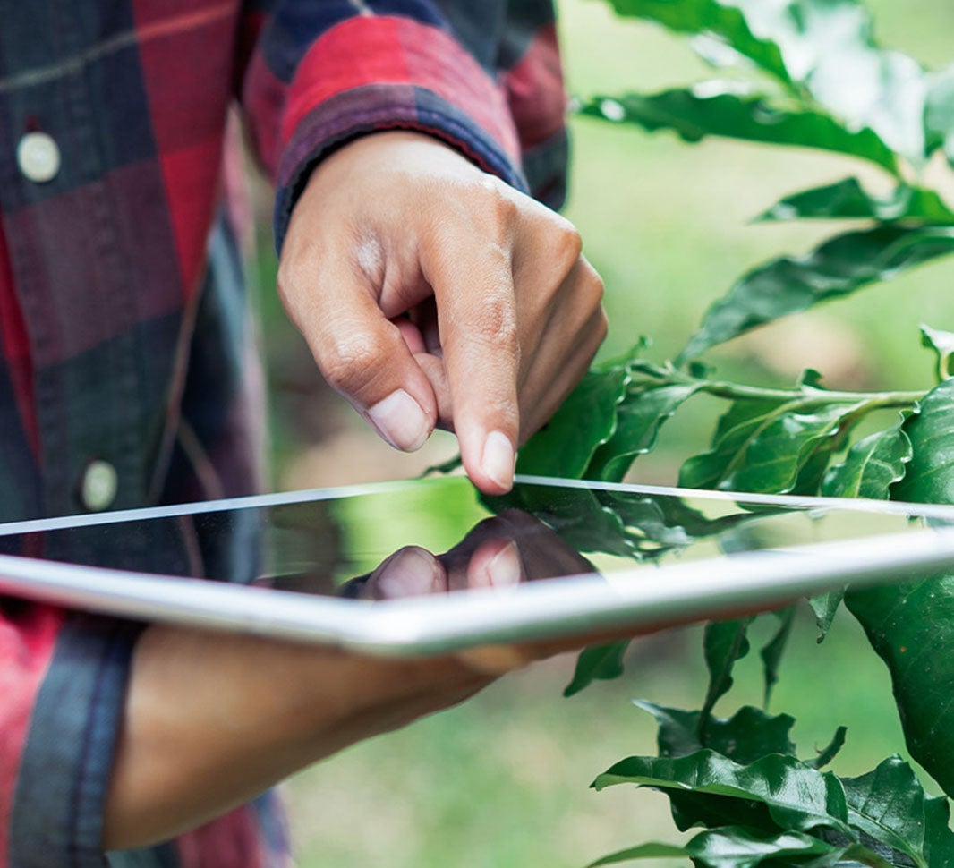 Un futuro más brillante en cada taza
