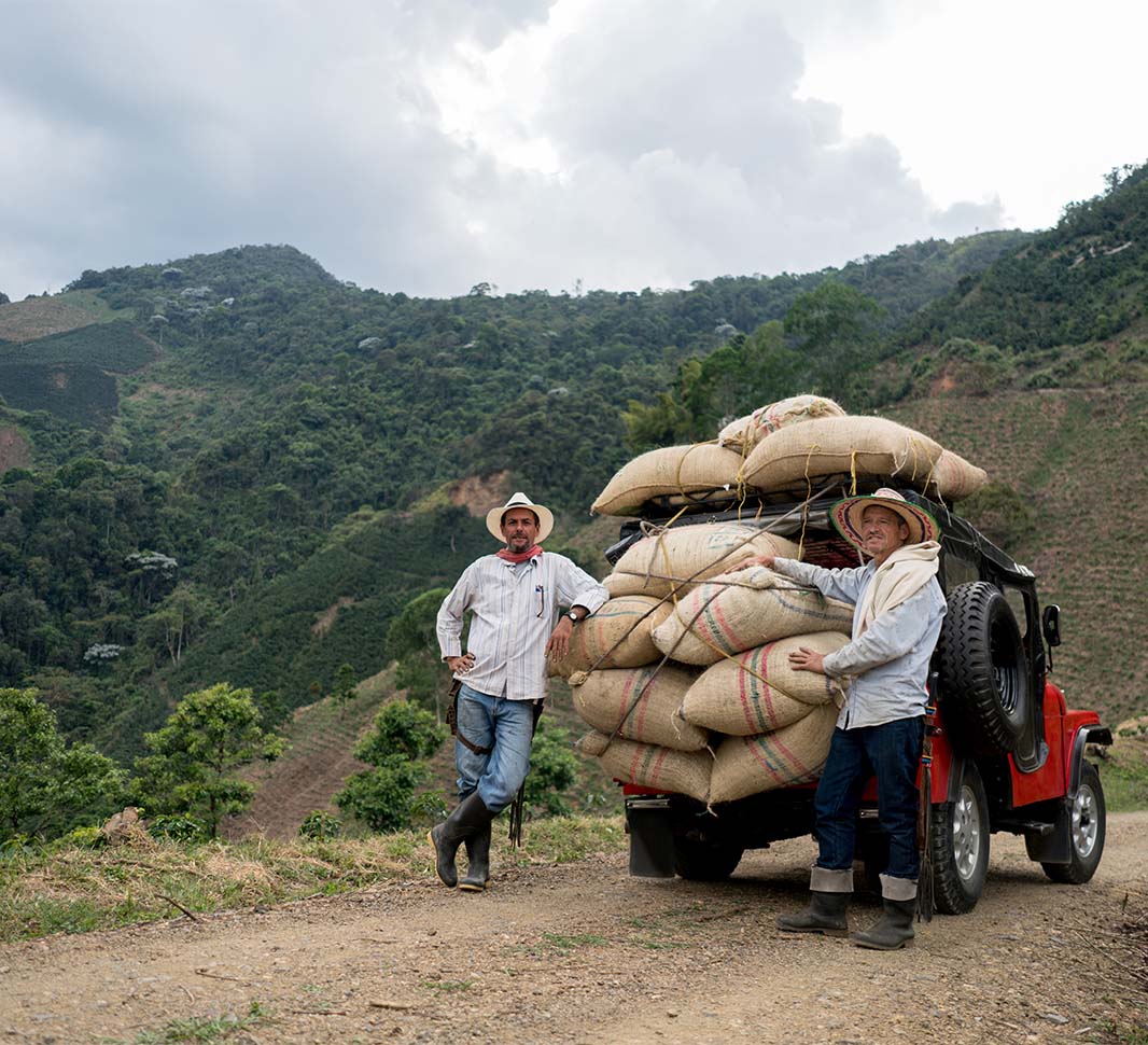 Los cafés de origen pueden recibir tres certificaciones diferentes