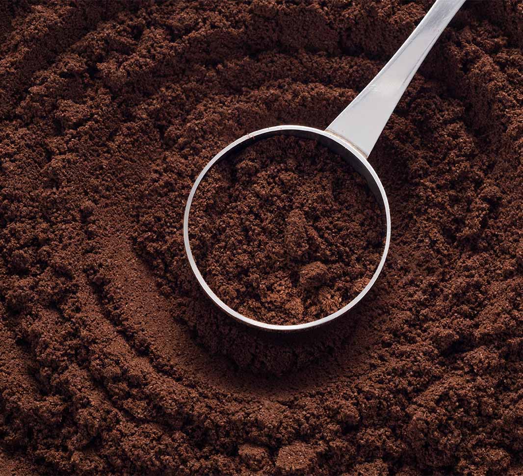 Café molido en cuchara de acero inoxidable