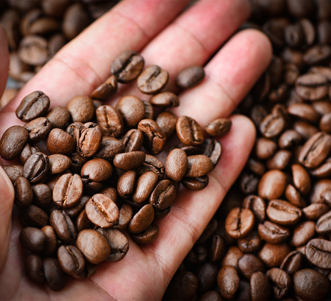 Granos de alta calidad de café