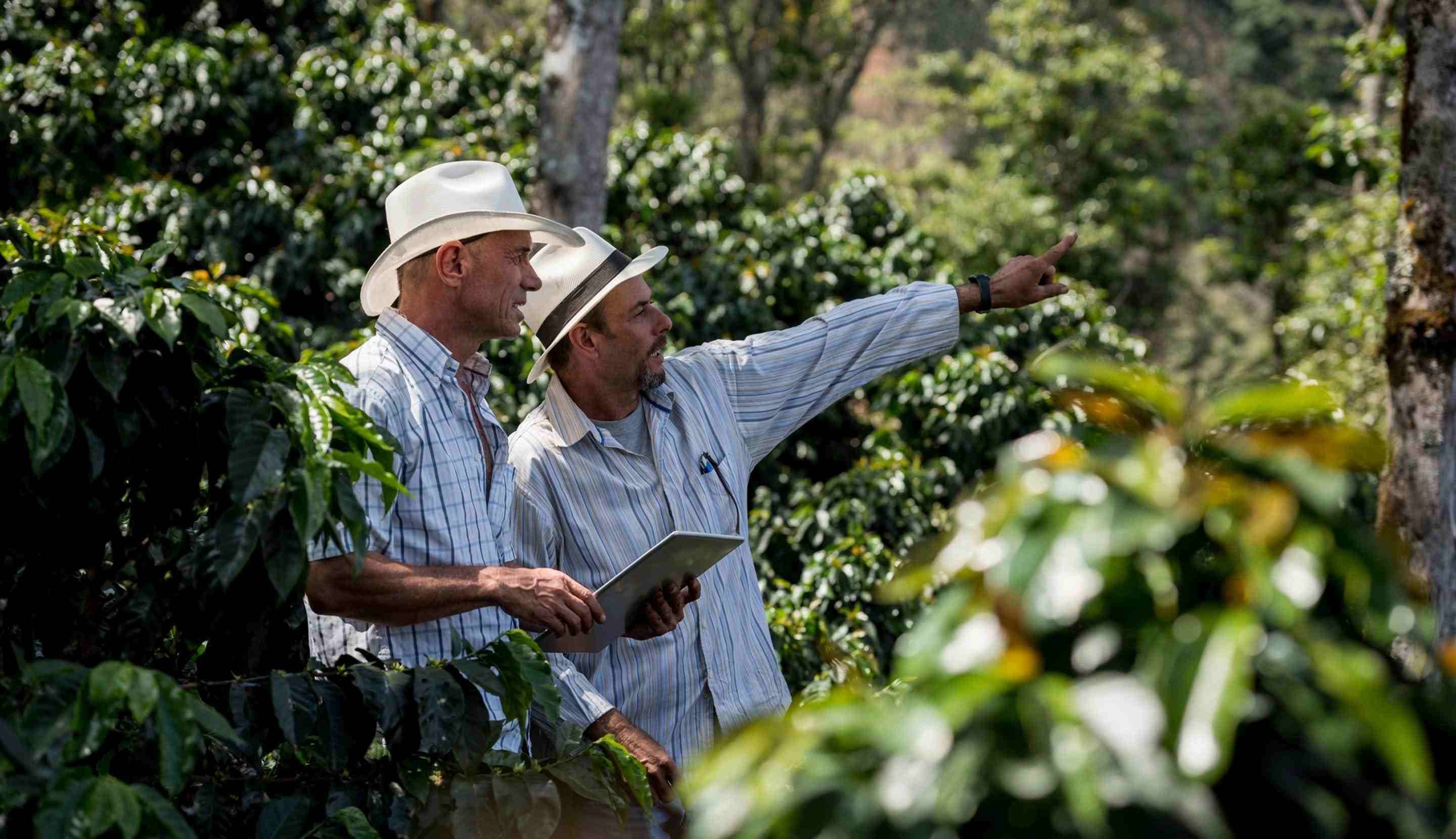 Celebra el día del caficultor: gracias por llenar de aroma nuestras vidas 