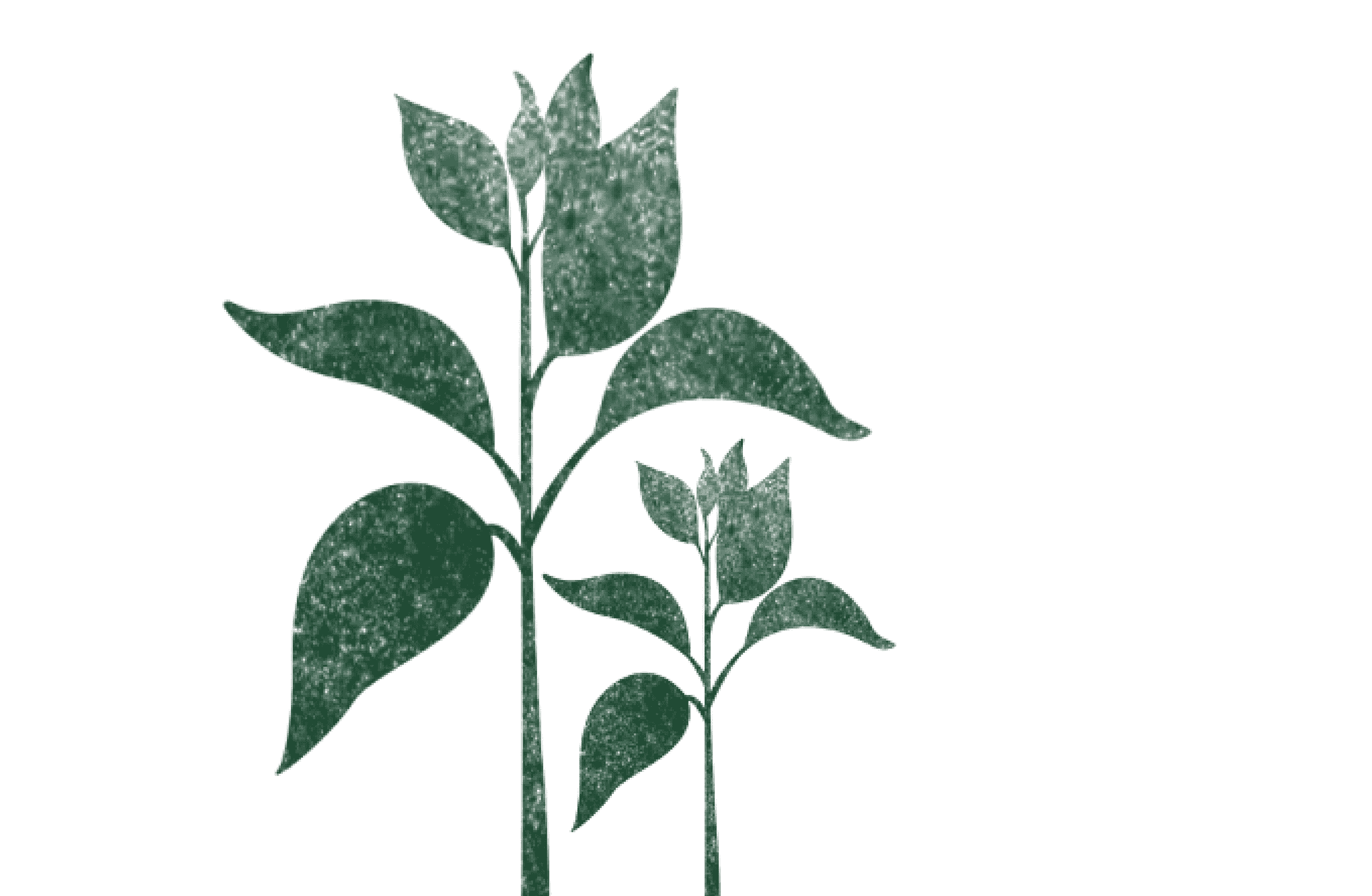 cita sobre agricultura regenerativa