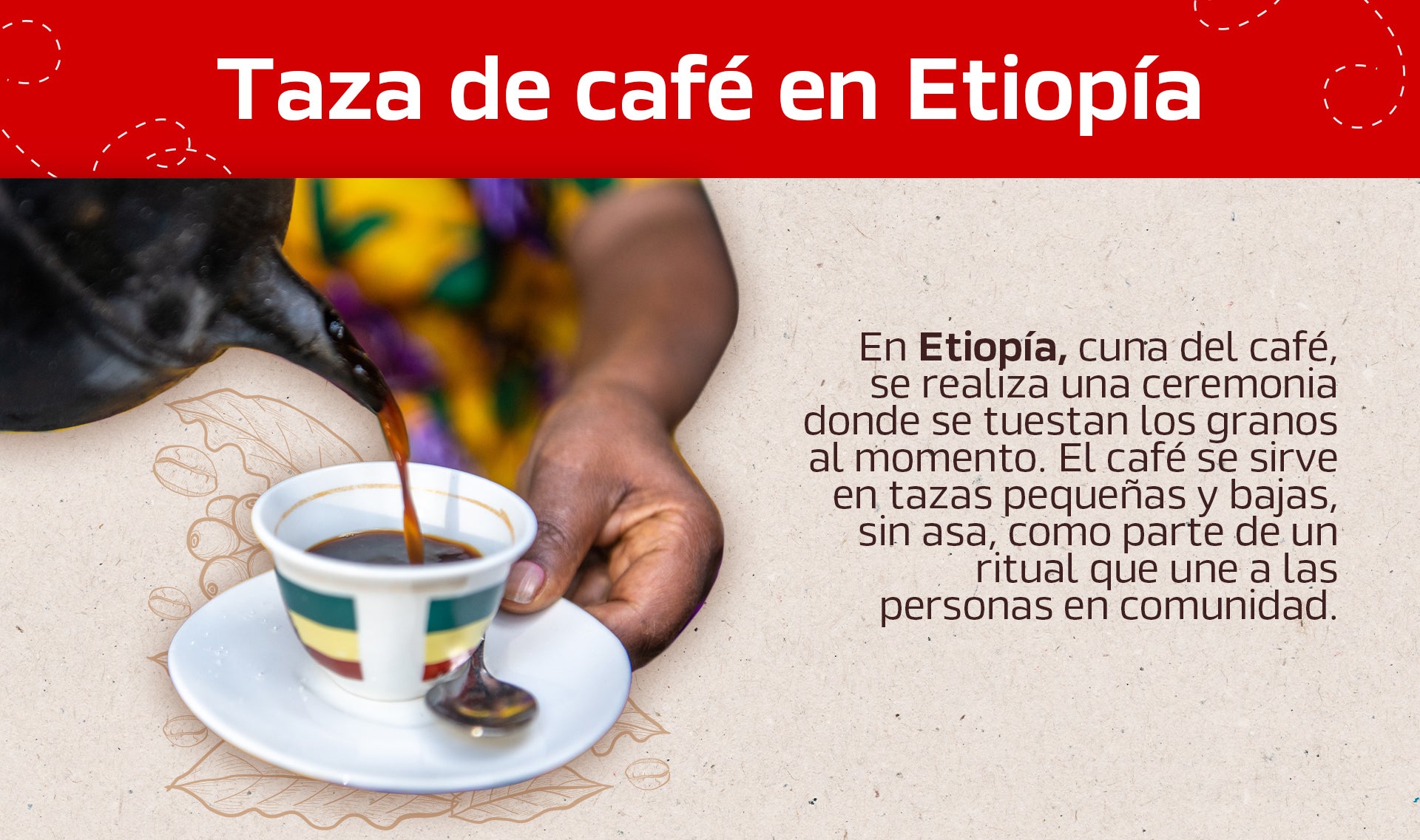Taza de café de Etiopía - infografía