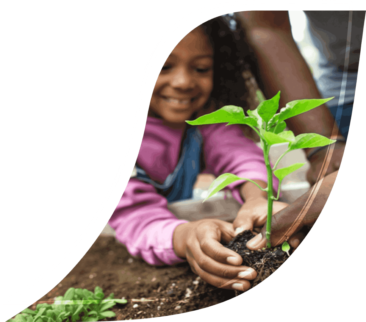 Comunidad cafetera sembrando plantas