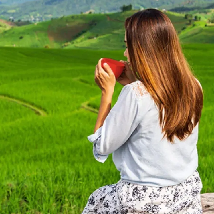 mujer-tomando-café-de-espaldas-en-paisaje-vegetal.