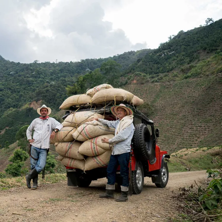 Dos personas colombianas del eje cafetero con semillas de café en costales