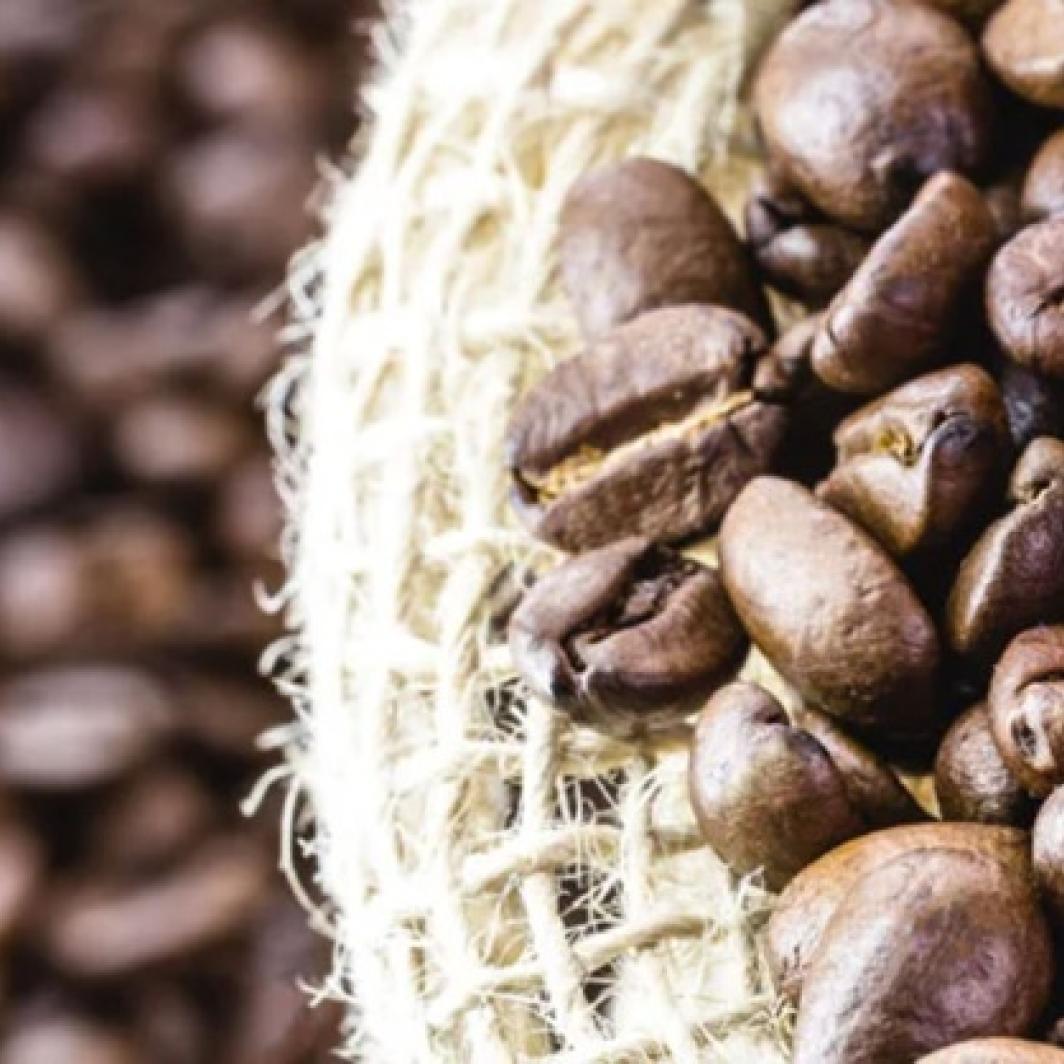 10 datos curiosos del café que no sabías