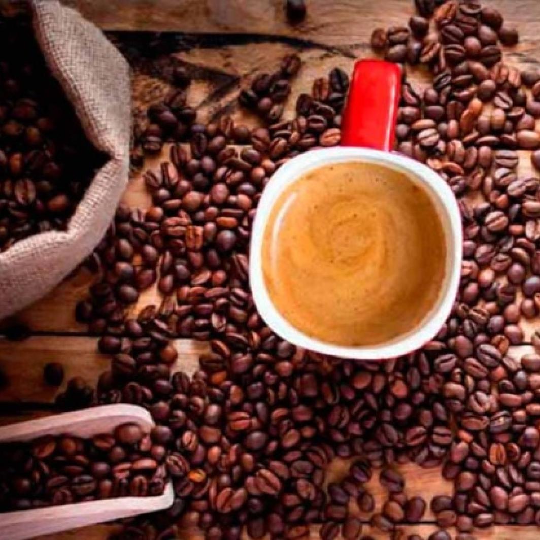 Disfruta momentos únicos con la compañía de una taza de café