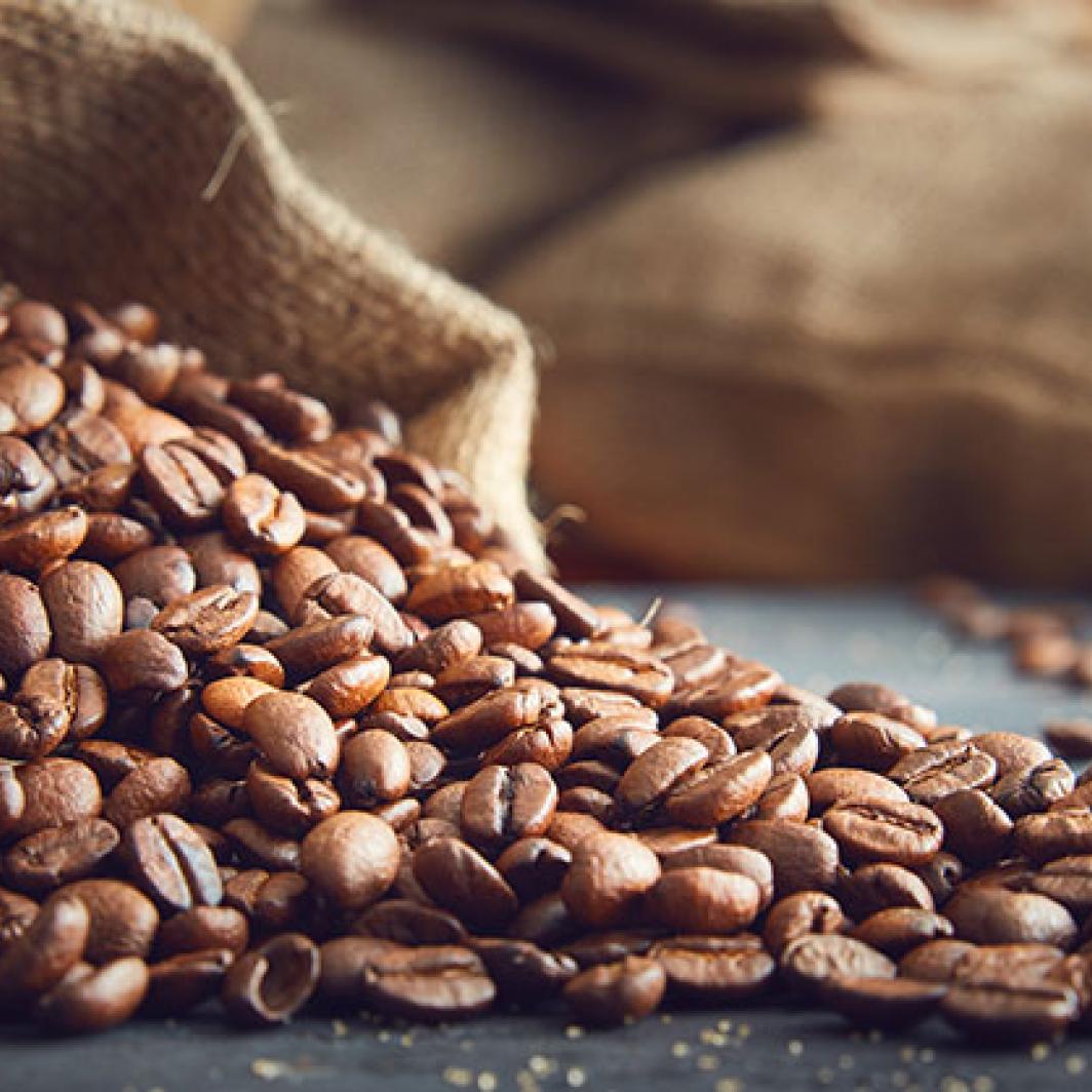 Guía de las semillas de café