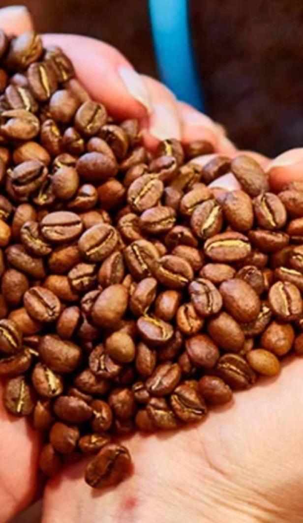 El proceso del café: así es cómo llega a tu taza 